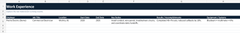 Actual Work Experience worksheet with fictional demo data