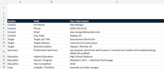Actual Resume Builder worksheet with fictional demo data